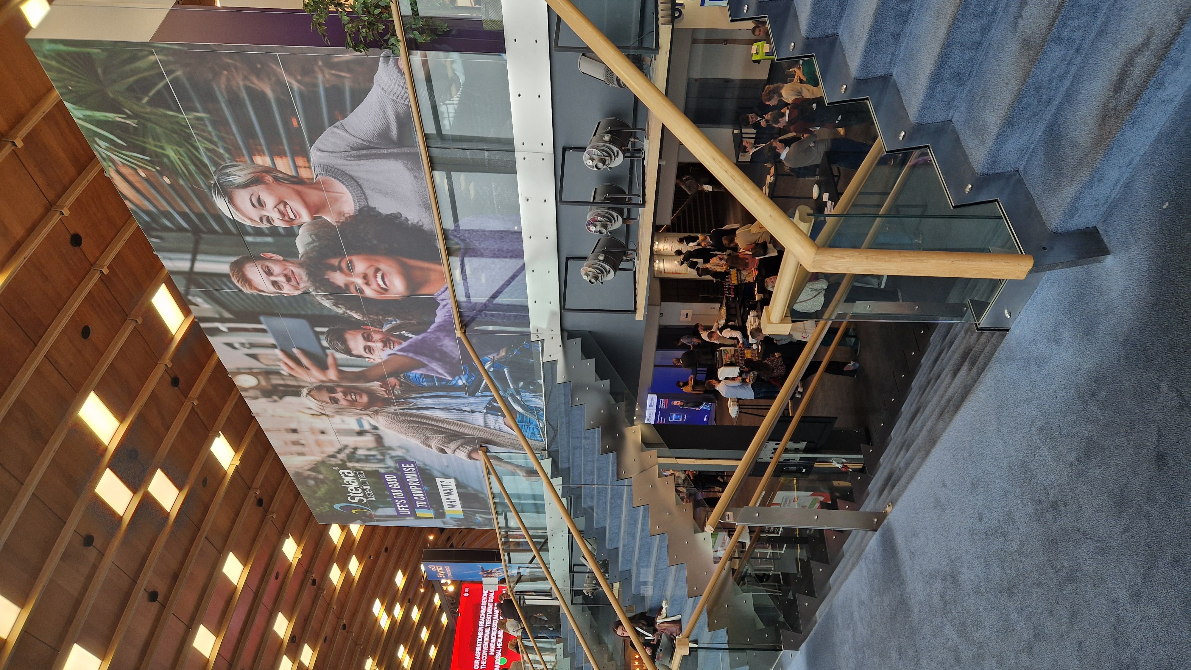 Gallery 2025 - image 5